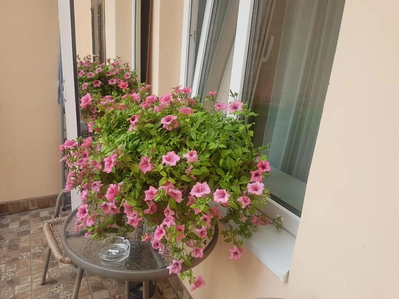 Golden Rose ! Apartments Lviv S